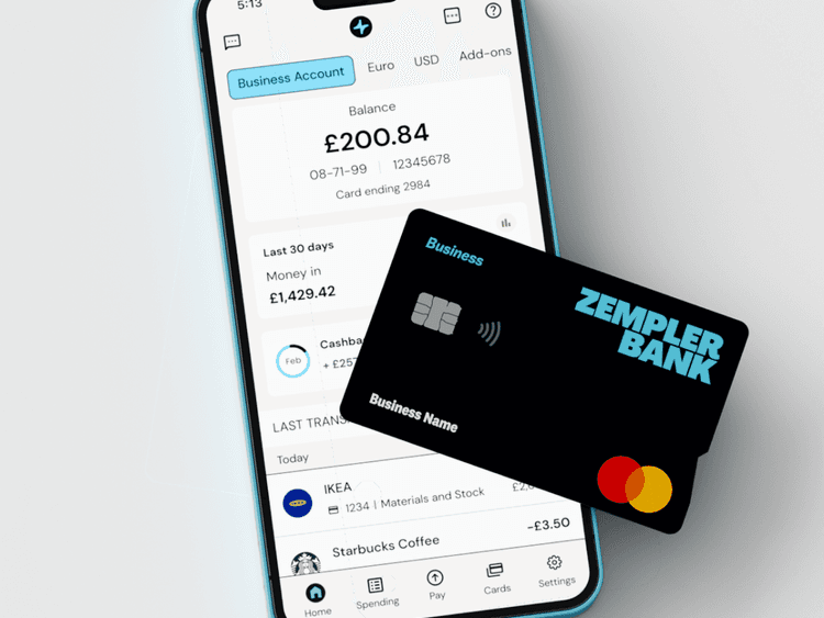 Zempler business account features